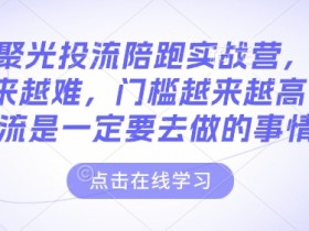 小红书聚光投流陪跑实战营,免费流量会越来越难,门槛越来越高,付费投流是一定要去做的事情
