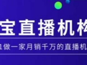 淘宝直播运营实操课【MCN机构】,从0到1做一家月销千万的直播机构
