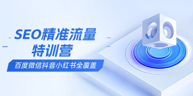 (13851期)SEO精准流量特训营,百度微信抖音小红书全覆盖,带你搞懂搜索优化核心技巧