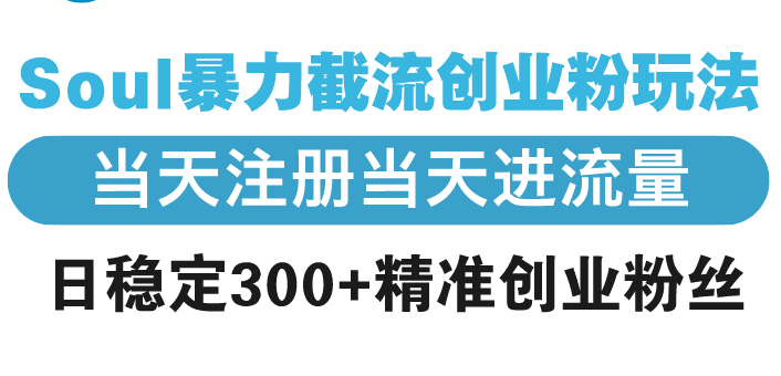 (13935期)Soul暴力截流创业粉玩法,当天注册当天进流量,日稳定300+精准创业粉丝