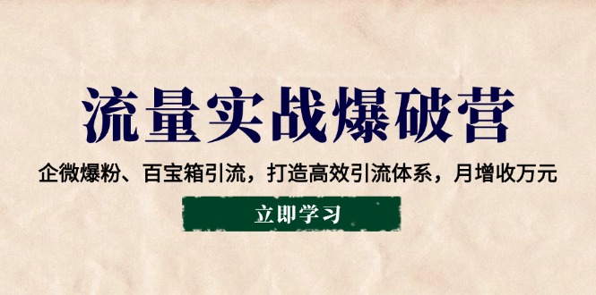 总流量实战演练工程爆破营:企业微信涨粉、宝盒引流方法,打造高效引流方法管理体系,月创收万余元