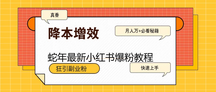 蛇年全新小红书的涨粉实例教程,狂引第二职业粉,月入万 必读