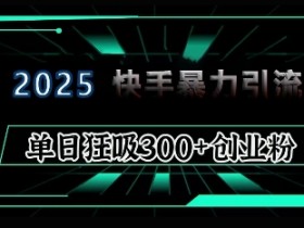 2025年快手6.0保姆级教程震撼来袭,单日狂吸300+精准创业粉