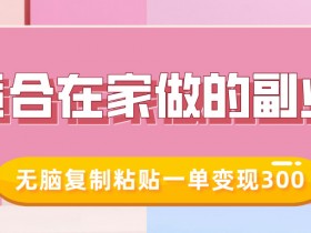 适合在家做的副业,小红书冷知识账号,无脑复制粘贴一单变现300