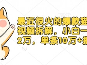 最近很火的爆款猫咪做饭视频拆解,小白一周涨粉2万,单条10万+播放(附保姆级教程)