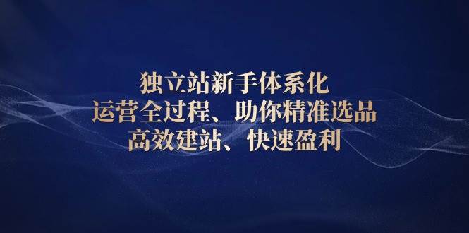 图片[1]-独立站新手体系化 运营全过程，助你精准选品、高效建站、快速盈利