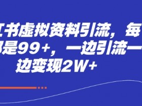 小红书虚拟资料引流,每天都是99+,一边引流一边变现2W+
