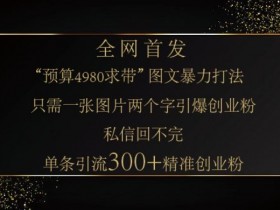 小红书神奇图片引流法,只需一张图,就能单条笔记凭借此方法,轻松引流 300 + 精准创业粉