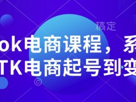 TikTok电商课程,系统学习TK电商起号到变现