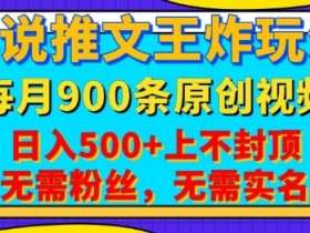 小说推文王炸玩法,一键代发,每月最多领900条原创视频,播放量收益日入5张,无需粉丝,无需实名【揭秘】