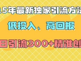 2025年最新独家引流方法,低投入高回报?当日引流300+精准创业粉