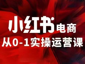 小红书电商运营,97节小红书vip内部课,带你实现小红书赚钱