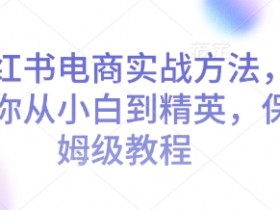 小红书电商实战方法,让你从小白到精英,保姆级教程