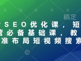 抖音SEO优化课,短视频运营必备基础课,教你精准布局短视频搜索