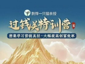 剽悍一只猫-过钱关特训营,学习营销真经 大幅度提高创富效率