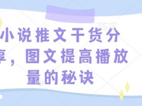 小说推文干货分享,图文提高播放量的秘诀