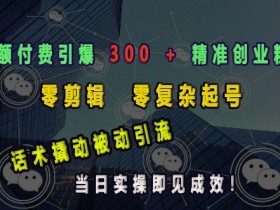 小额付费引爆 300 + 精准创业粉,零剪辑、零复杂起号,话术撬动被动引流,当日实操即见成效