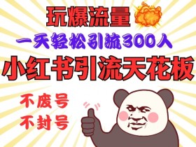 小红书引流天花板,玩爆流量,一天轻松引流300人,安全操作
