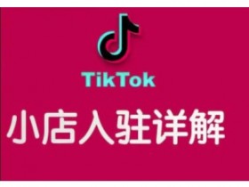 TikTok跨境小店运营全攻略,帮助你独立运营TK跨境小店的能力,实现销量增长