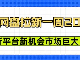 豆包网盘拉新,一周2k,新平台新机会