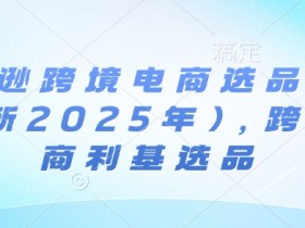 亚马逊跨境电商选品案例(更新2025年),跨境电商利基选品