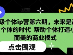 超级个体ip营第六期,未来是超级个体的时代 帮助个体打造小而美的商业模式
