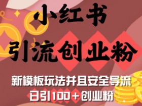 小红书引流创业粉,新模板玩法并且安全导流,日引100+创业粉