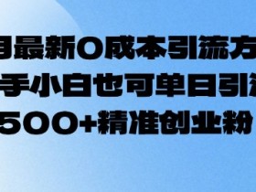 2月最新0成本引流方法,新手小白也可单日引流500+精准创业粉