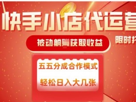 快手小店代运营,被动躺Z收益,收益五五分,单日稳定变现五张【揭秘】