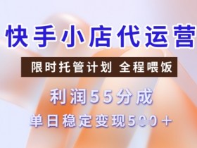 快手小店代运营3.0,模式新升级,收益55分,稳定单日5张【揭秘】