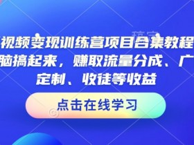 AI短视频变现训练营项目合集教程,直接无脑搞起来,赚取流量分成、广告、定制、收徒等收益