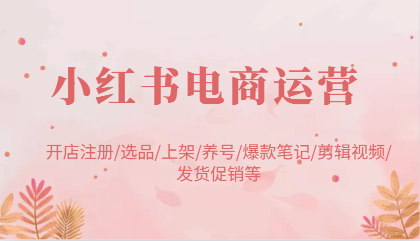 小红书电商经营:开实体店申请注册/选款/发布/起号/爆品手记/视频编辑/安排发货促销等