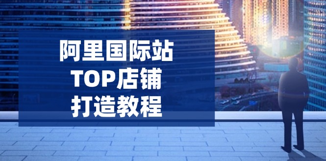 (14269期)阿里巴巴国际TOP店面打造出实例教程:包含服务平台到高级,处理经营困难,提高外贸询盘
