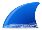 网络抓包工具Wireshark v4.4.4.0 中文绿色版