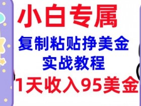 复制粘贴挣美金,0门槛,1天收入95美刀,3分钟学会,内部教程(首次公开)