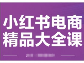 小红书电商精品大全课,快速掌握小红书运营技巧,实现精准引流与爆单目标,轻松玩转小红书电商