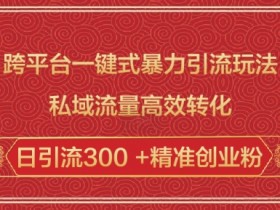 跨平台一键式暴力引流玩法,私域流量高效转化日引流300 +精准创业粉