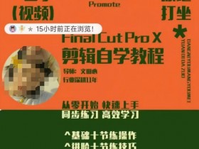 轻松玩转剪辑系统课,从零开始快速上手,同步练习高效学习,思维提升从简到难