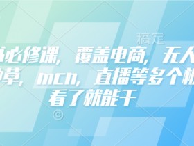 小红书必修课,覆盖电商,无人,获客,种草,mcn,直播等多个板块,看了就能干
