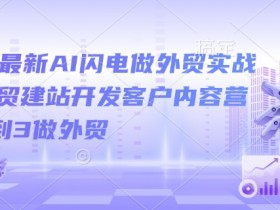 2025最新AI闪电做外贸实战课,外贸建站开发客户内容营销从0到3做外贸