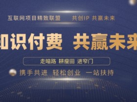 别人苦寻无果,为何他们靠知识付费卖项目 2025 年轻松年入100个?【揭秘】