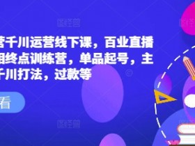 六边形运营千川运营线下课,百业直播间爆量真相终点训练营,单品起号,主播培训,千川打法,过款等