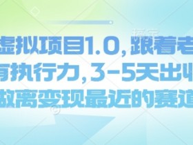 闲鱼虚拟项目1.0,跟着老手操作,有执行力,3-5天出收益,做离变现最近的赛道