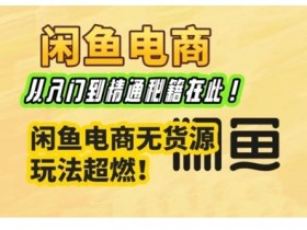 闲鱼电商实战课,从入门到精通秘籍在此,闲鱼电商无货源玩法超燃!