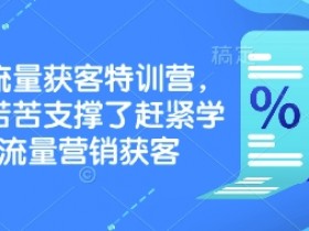 实体流量获客特训营,别再苦苦支撑了赶紧学会流量营销获客