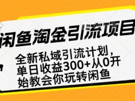 闲鱼淘金私域引流计划,从0开始玩转闲鱼,副业也可以挣到全职的工资