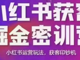 小红书获客掘金线下课,录音+ppt照片,小红书运营玩法,获客印钞机