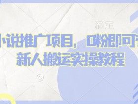蛋花小说推文项目,0粉即可变现,新人搬运实操教程