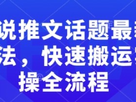 小说推文话题最新玩法,快速搬运实操全流程