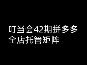 叮当会拼多多打爆班原创高阶技术第42期,拼多多全店托管矩阵